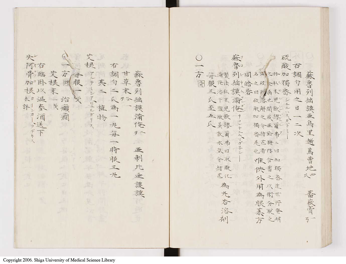 K0061l0239