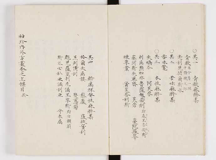 K0061s0006