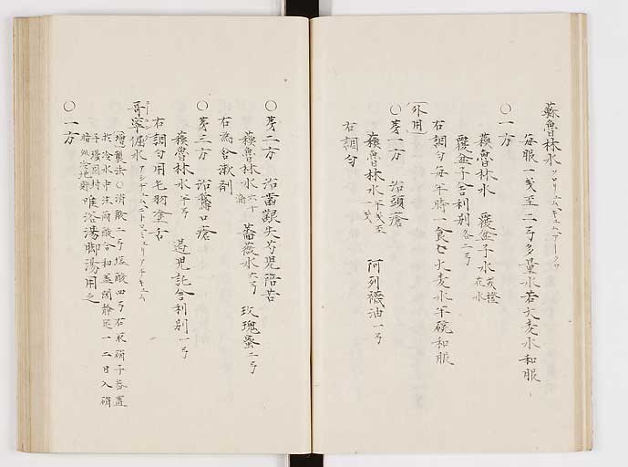 K0061s0021