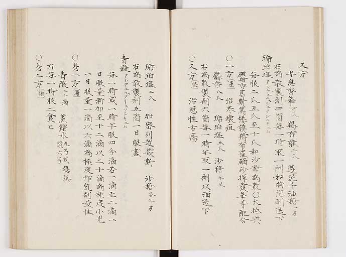 K0061s0024