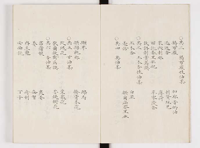 K0061s0131