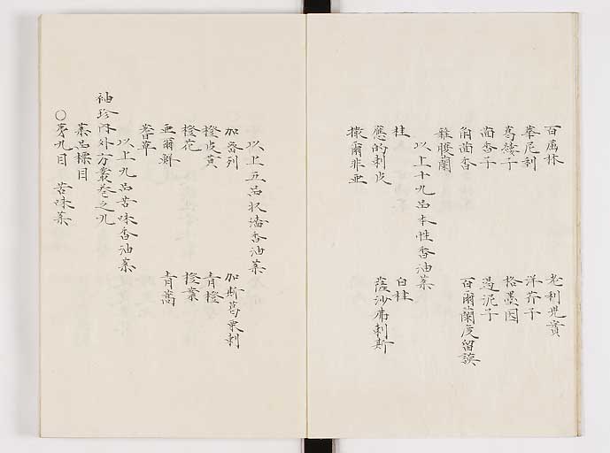 K0061s0132