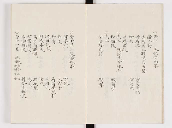 K0061s0133