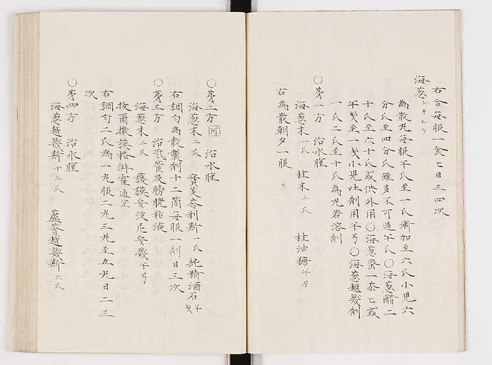 K0061s0142