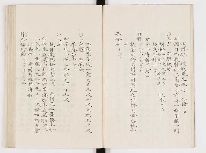 K0061s0144