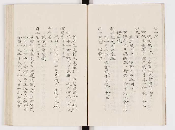 K0061s0147
