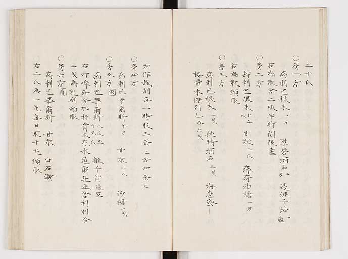 K0061s0155