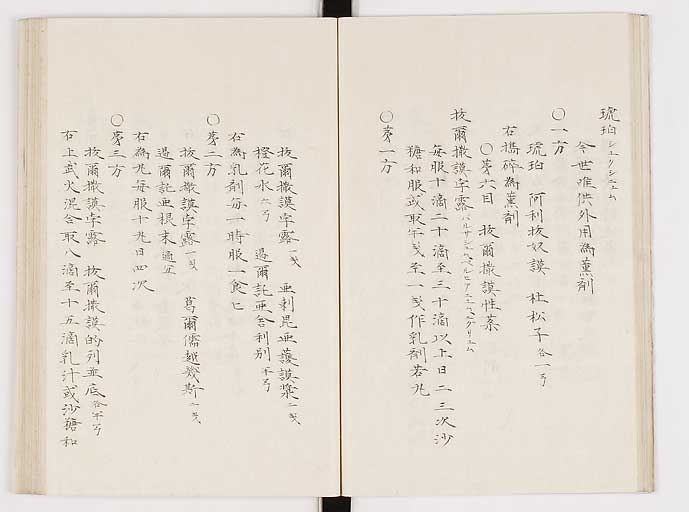 K0061s0163