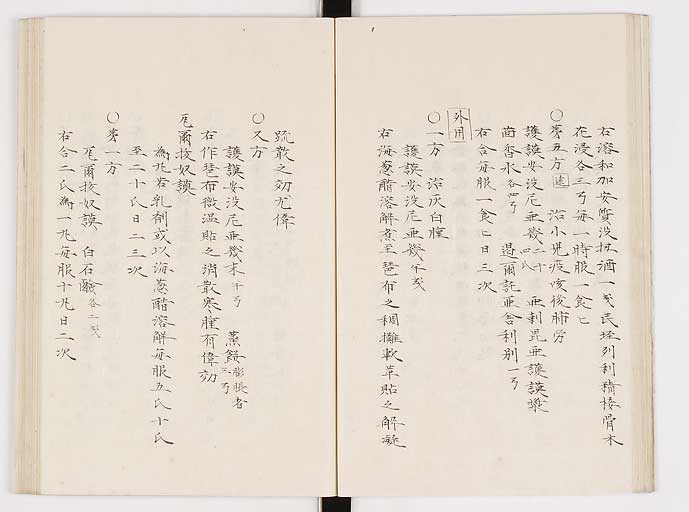 K0061s0169