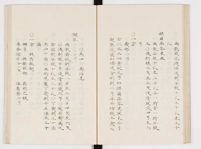 K0061s0184