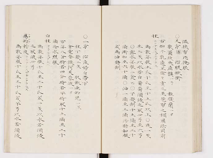 K0061s0194