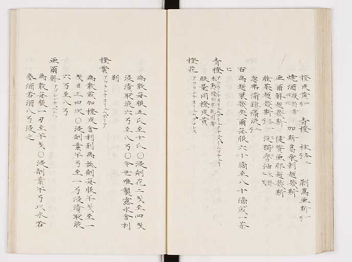 K0061s0199