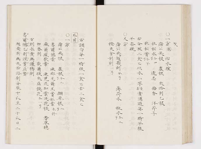 K0061s0202