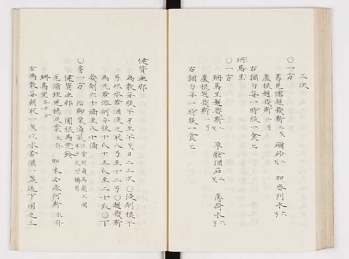 K0061s0203