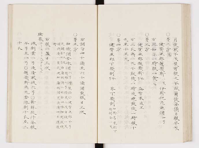 K0061s0204