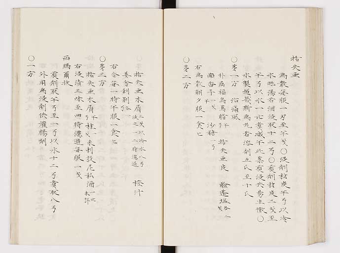 K0061s0205