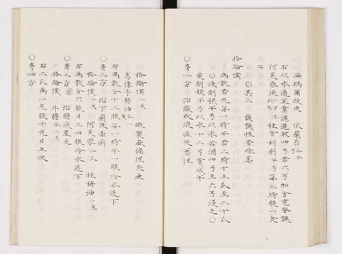 K0061s0206