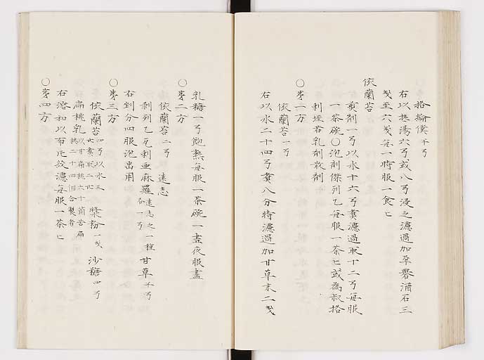 K0061s0207