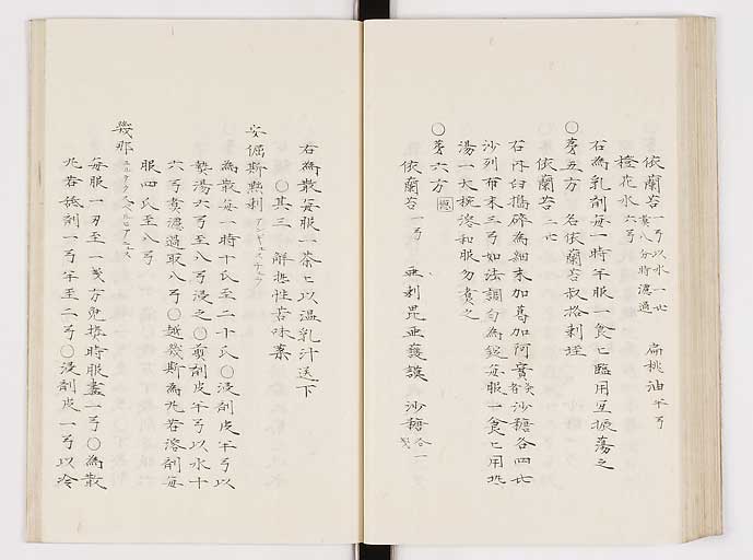 K0061s0208