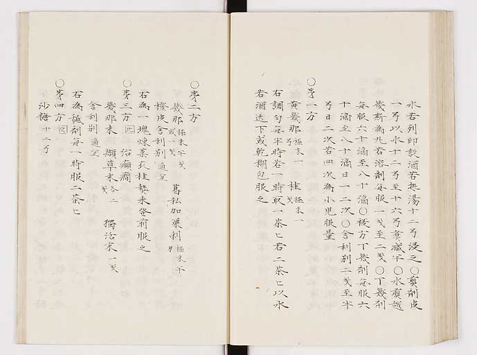 K0061s0209