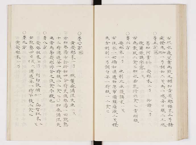 K0061s0210