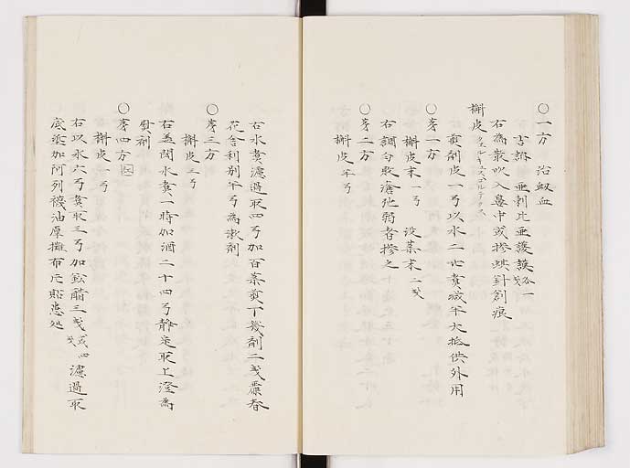 K0061s0213