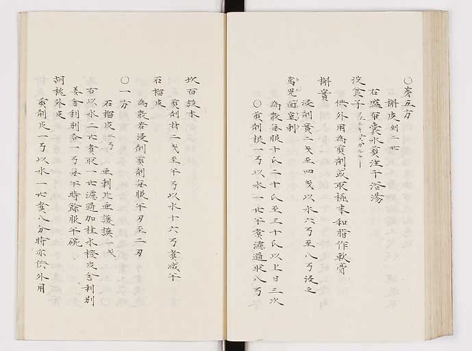 K0061s0214