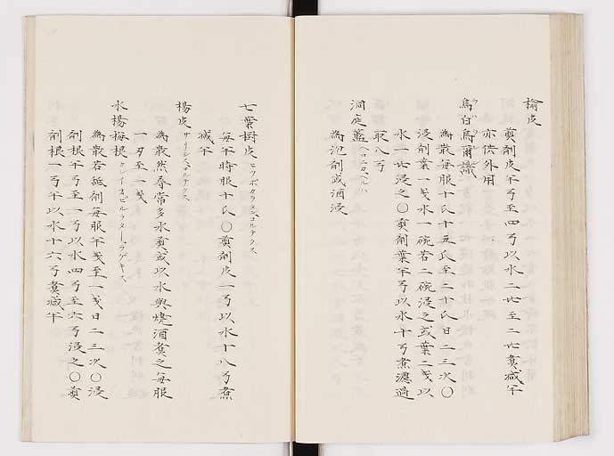 K0061s0215