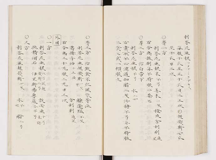 K0061s0216