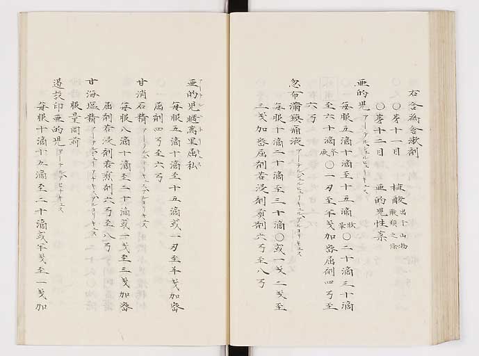 K0061s0217