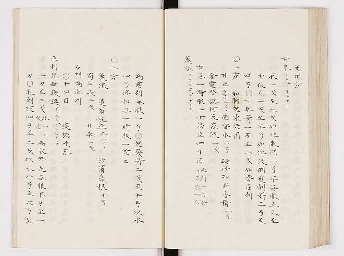 K0061s0219