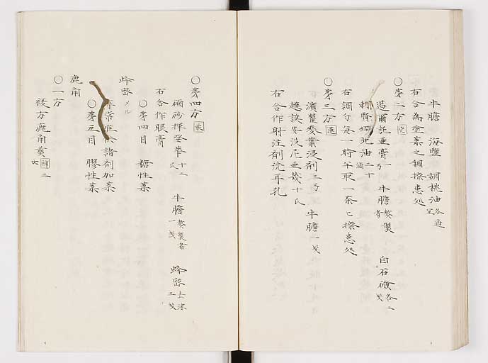 K0061s0233