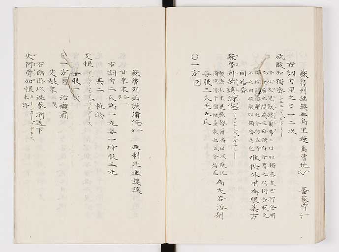 K0061s0239