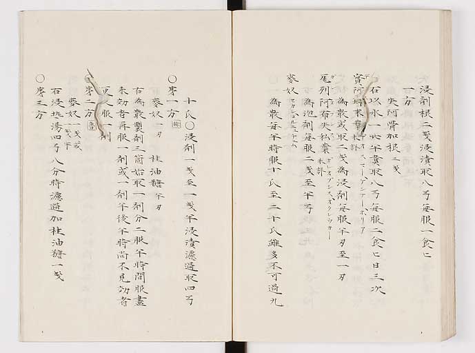K0061s0240