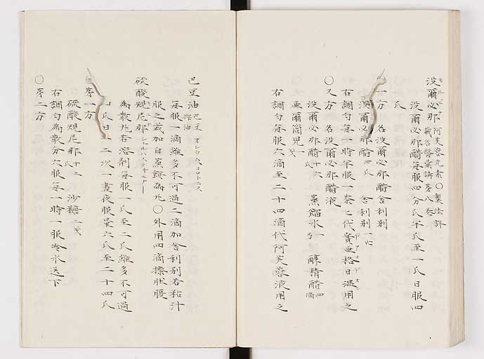 K0061s0243