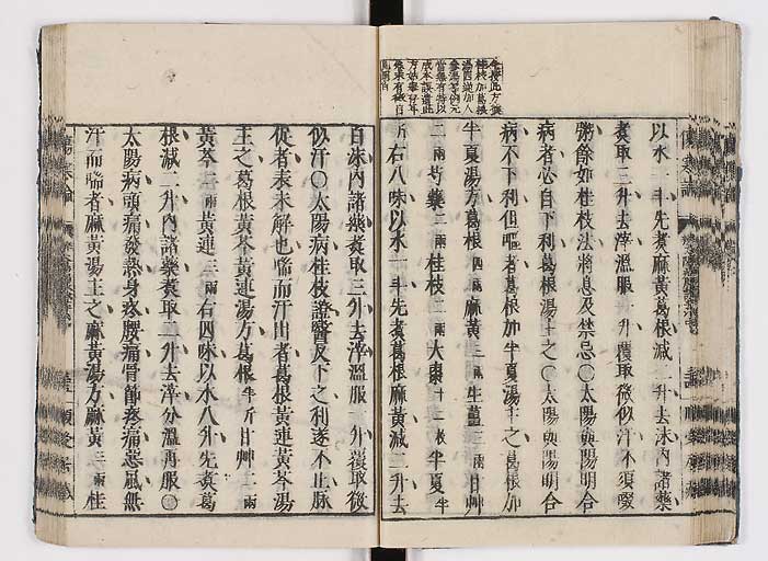 K0062s0050