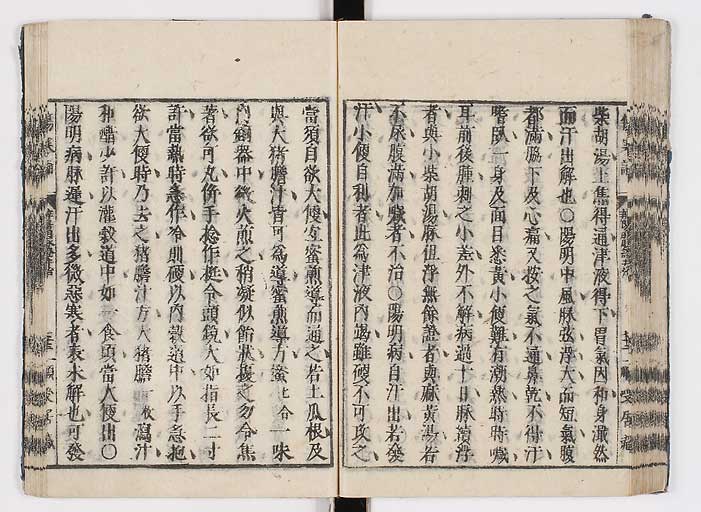 K0062s0088
