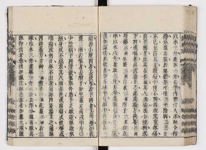 K0062s0100