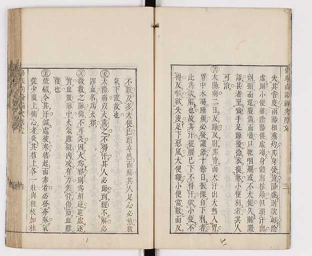 K0065s0173
