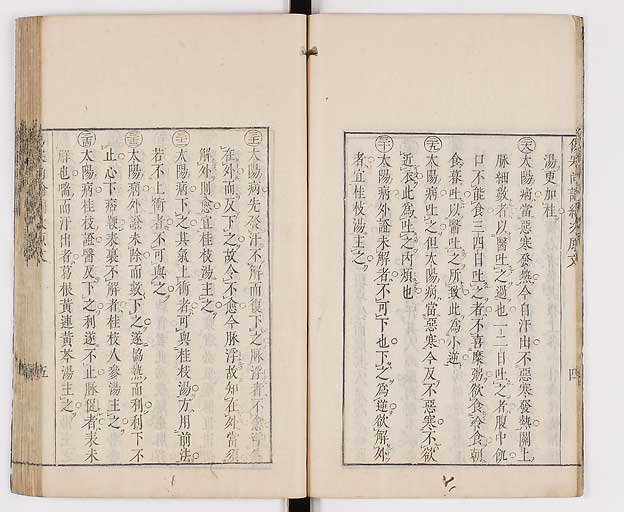 K0065s0174