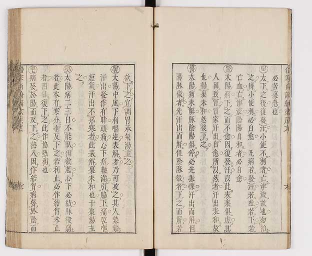 K0065s0176