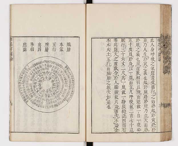 K0065s0246