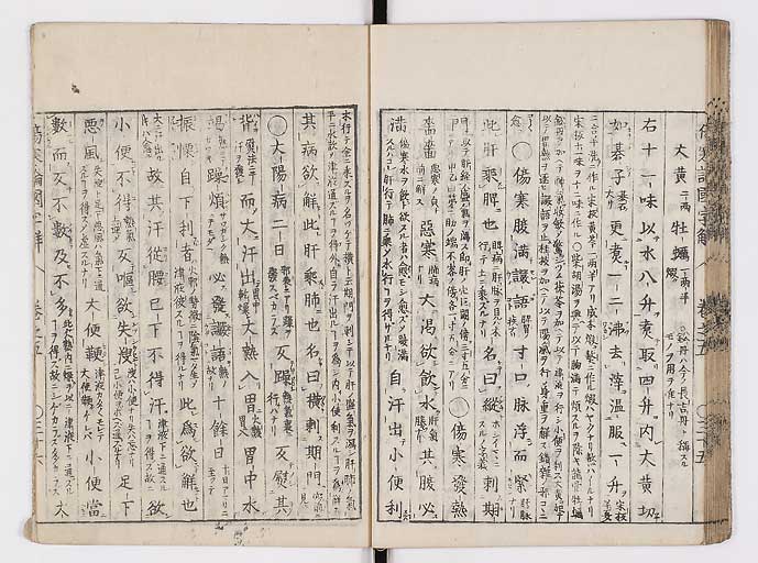 K0068s0098