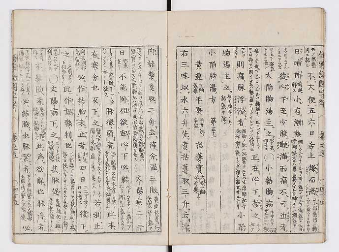 K0068s0110