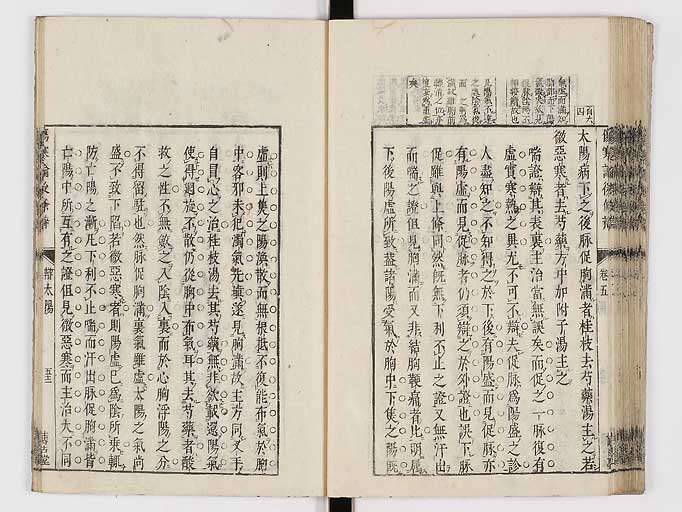 K0069s0296