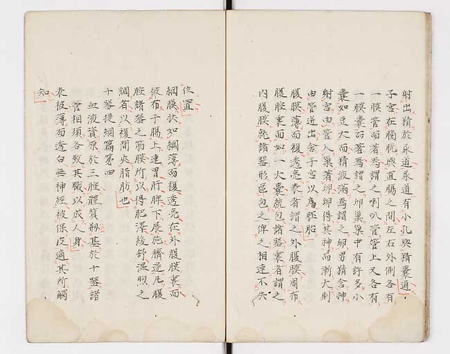 K0071s0017