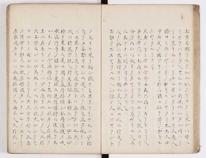 K0073s0019