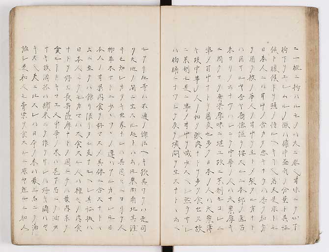 K0073s0023