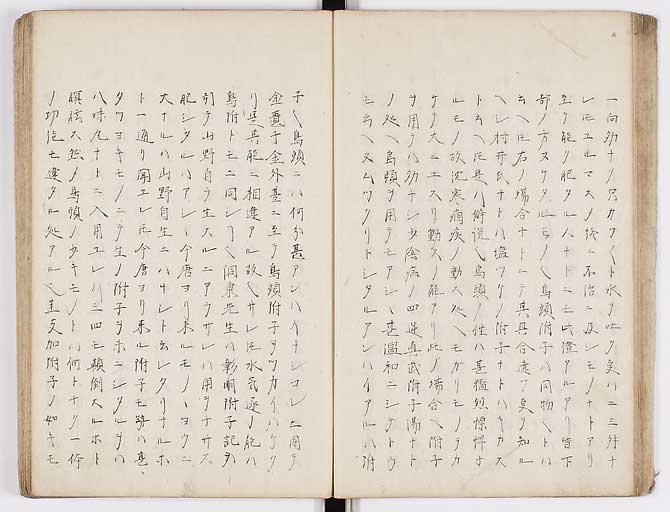 K0073s0028
