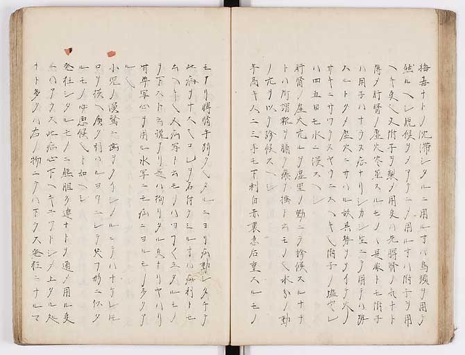 K0073s0029